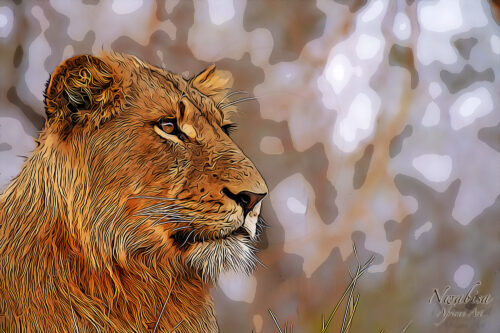 Lion looking into the distance Artwork
