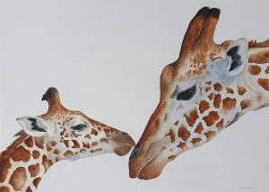 Mother and calf Giraffes in tender pose watercolour painting by Lorna Pauls