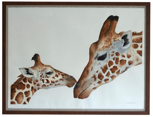 Aquarel of Giraffe adult and calf in endearing pose by South African artist Lorna Pauls