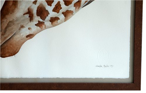 Aquarel of Giraffe adult and calf in endearing pose by South African artist Lorna Pauls