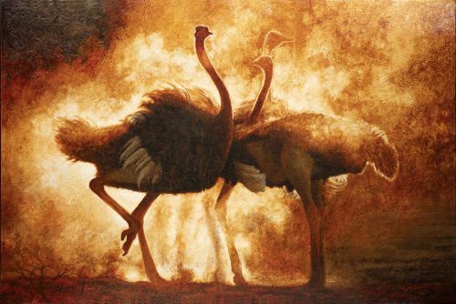 Ostriches in dusk light dancing