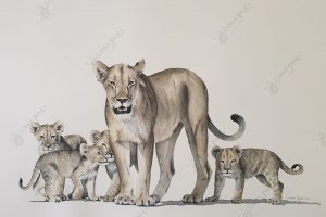 Lioness with cubs aquarel by Lorna Pauls