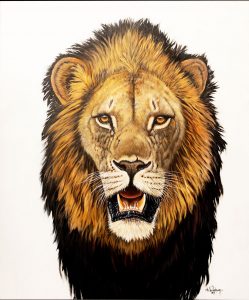 Male Lion with Manes painting by Nic van Rensburg