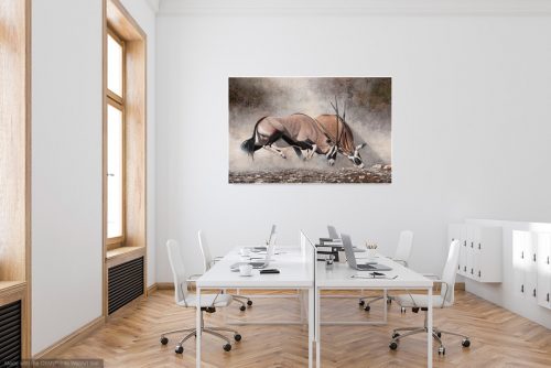 Clashing of horns in office on light wall