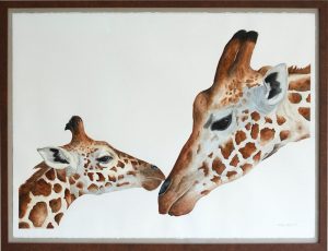 Aquarel schilderij van Giraffe moeder met Kalf door Zuid-Afrikaanse schilder Lorna Pauls